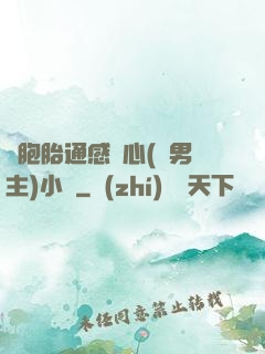 雙胞胎通感夾心(雙男主)小說
