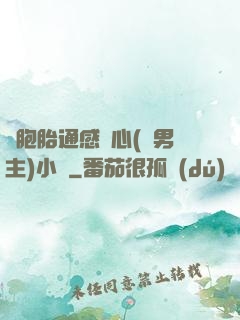 雙胞胎通感夾心(雙男主)小說