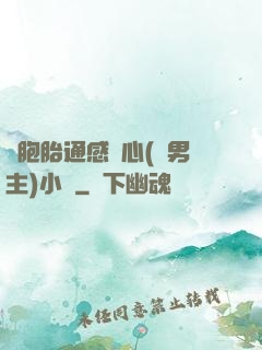 雙胞胎通感夾心(雙男主)小說