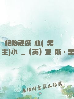 雙胞胎通感夾心(雙男主)小說