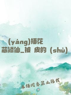 雙陽(yáng)插花芯修仙