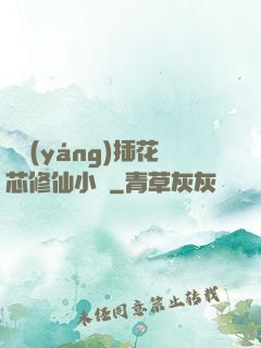 雙陽(yáng)插花芯修仙小說