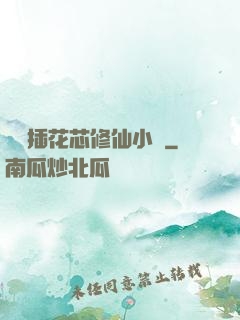 雙陽插花芯修仙小說