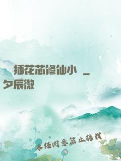 雙陽插花芯修仙小說