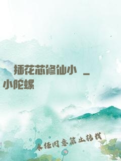 雙陽插花芯修仙小說
