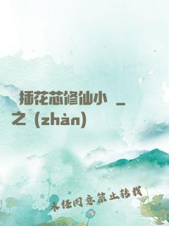 雙陽插花芯修仙小說