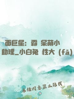 雙面巨星：霸愛呆萌小助理