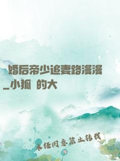 離婚后帝少追妻路漫漫
