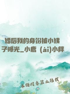 離婚后我的身份被小姨子曝光