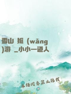 雪山飛狐網(wǎng)游錄