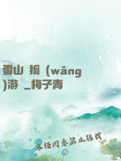 雪山飛狐網(wǎng)游錄