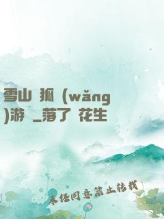 雪山飛狐網(wǎng)游錄