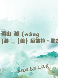 雪山飛狐網(wǎng)游錄