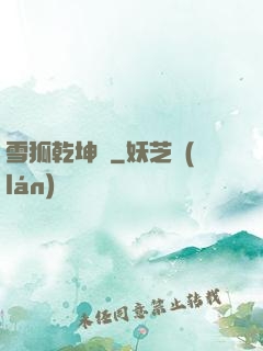 雪狐乾坤錄
