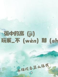 電弧中的高級(jí)玩家