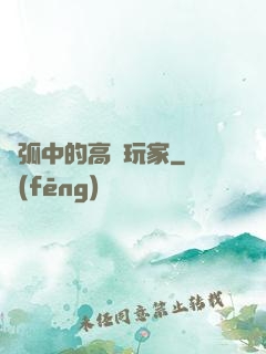 電弧中的高級玩家
