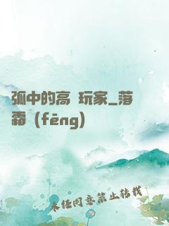 電弧中的高級玩家