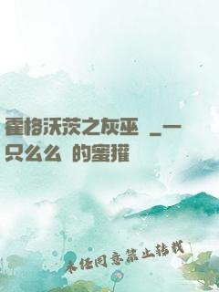霍格沃茨之灰巫師