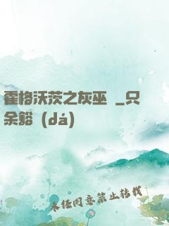 霍格沃茨之灰巫師