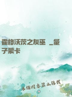 霍格沃茨之灰巫師