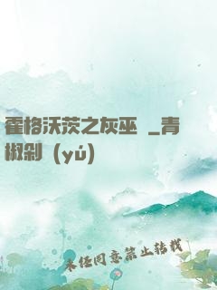 霍格沃茨之灰巫師