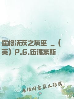 霍格沃茨之灰巫師