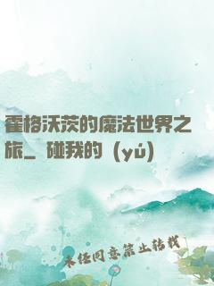 霍格沃茨的魔法世界之旅