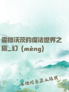 霍格沃茨的魔法世界之旅