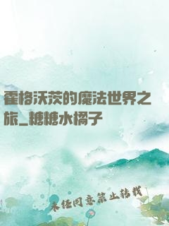 霍格沃茨的魔法世界之旅