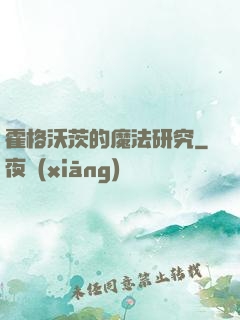 霍格沃茨的魔法研究