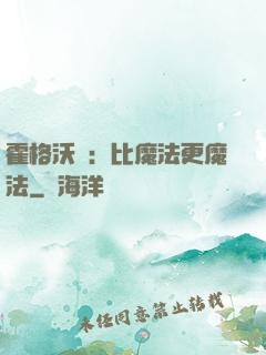 霍格沃茲：比魔法更魔法