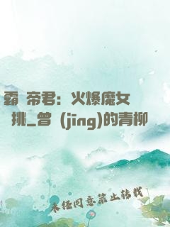 霸愛帝君：火爆魔女愛單挑