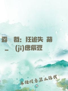 霸氣總裁：狂追失憶萌寶
