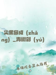 頂尖黑客成長(zhǎng)記
