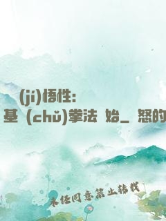 頂級(jí)悟性：從基礎(chǔ)拳法開始