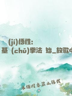 頂級(jí)悟性：從基礎(chǔ)拳法開始