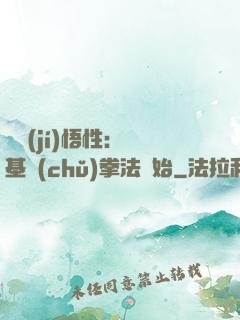 頂級(jí)悟性：從基礎(chǔ)拳法開始