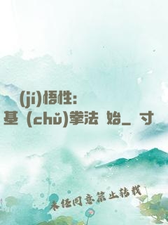 頂級(jí)悟性：從基礎(chǔ)拳法開始