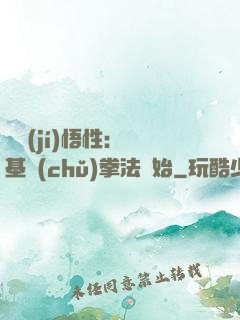 頂級(jí)悟性：從基礎(chǔ)拳法開始