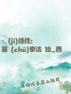 頂級(jí)悟性：從基礎(chǔ)拳法開始