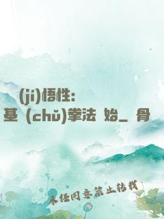 頂級(jí)悟性：從基礎(chǔ)拳法開始