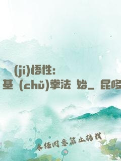 頂級(jí)悟性：從基礎(chǔ)拳法開始
