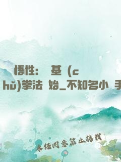頂級悟性：從基礎(chǔ)拳法開始