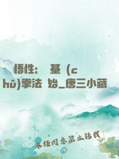 頂級悟性：從基礎(chǔ)拳法開始