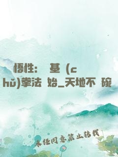 頂級悟性：從基礎(chǔ)拳法開始