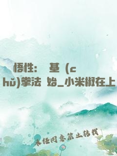 頂級悟性：從基礎(chǔ)拳法開始