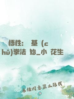 頂級悟性：從基礎(chǔ)拳法開始