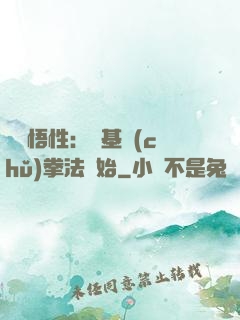 頂級悟性：從基礎(chǔ)拳法開始