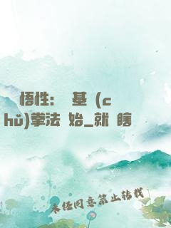 頂級悟性：從基礎(chǔ)拳法開始
