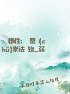 頂級悟性：從基礎(chǔ)拳法開始